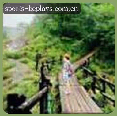 林雅诗