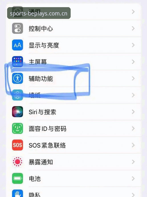 如何通过beplay体育苹果手机下载开启移动娱乐新纪元？